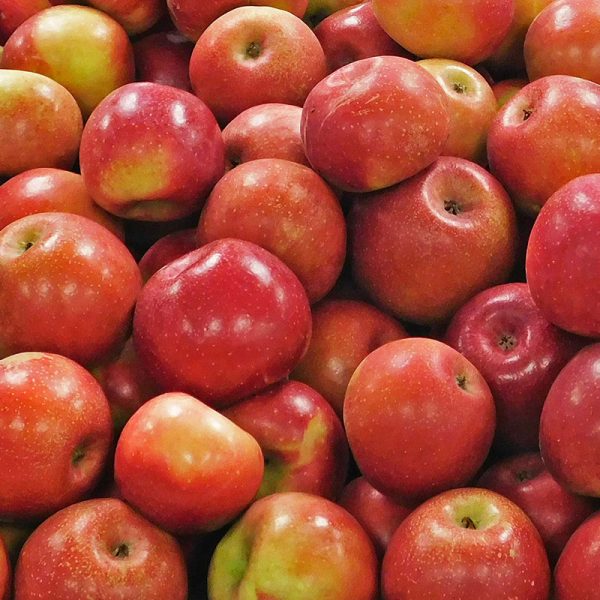 RomeApples2 Trax Farms